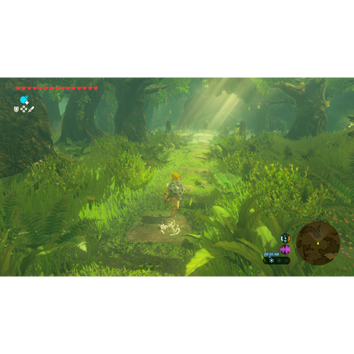 Legend of Zelda: Breath of the Wild - Switch 2